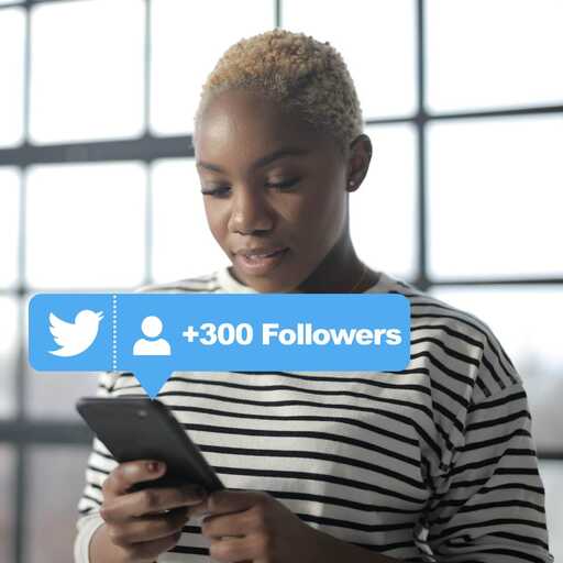 buy 300 twitter targeted followers