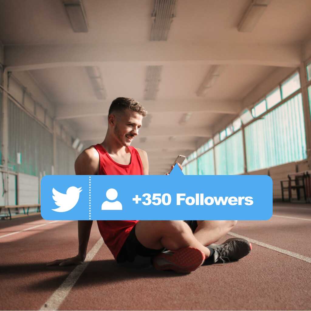 buy 350 twitter followers