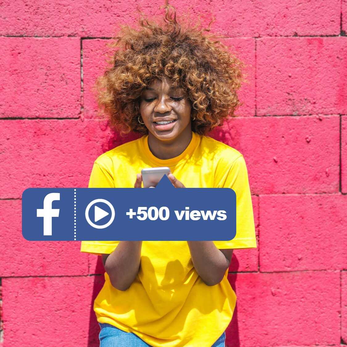 buy 500 fb video views