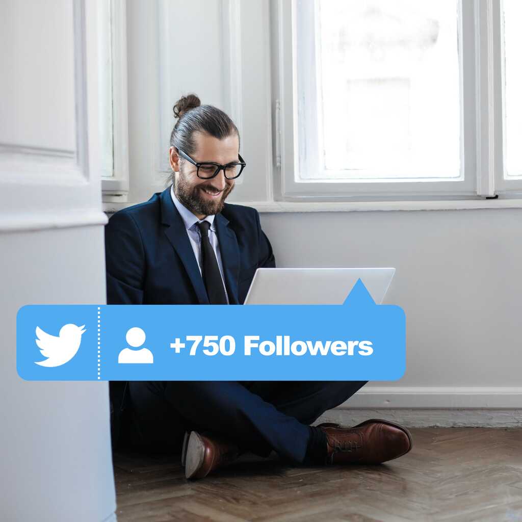 buy 750 twitter followers